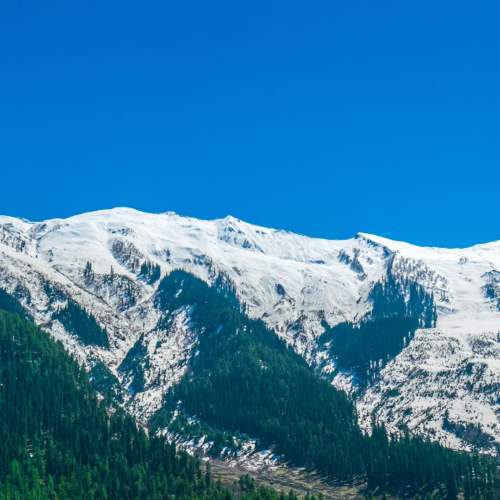 Kashmir & Srinagar Tour Package