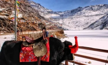 Sikkim  Tour Package