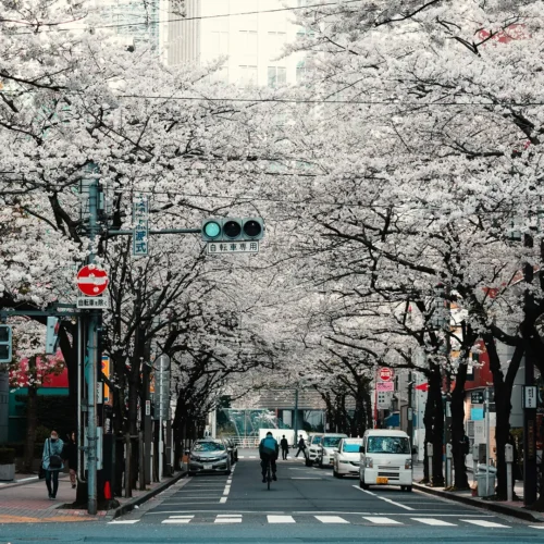 Japan Tour Package
