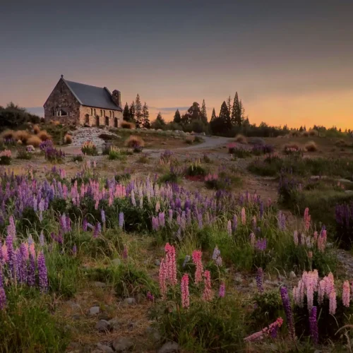 New Zealand Tour Package